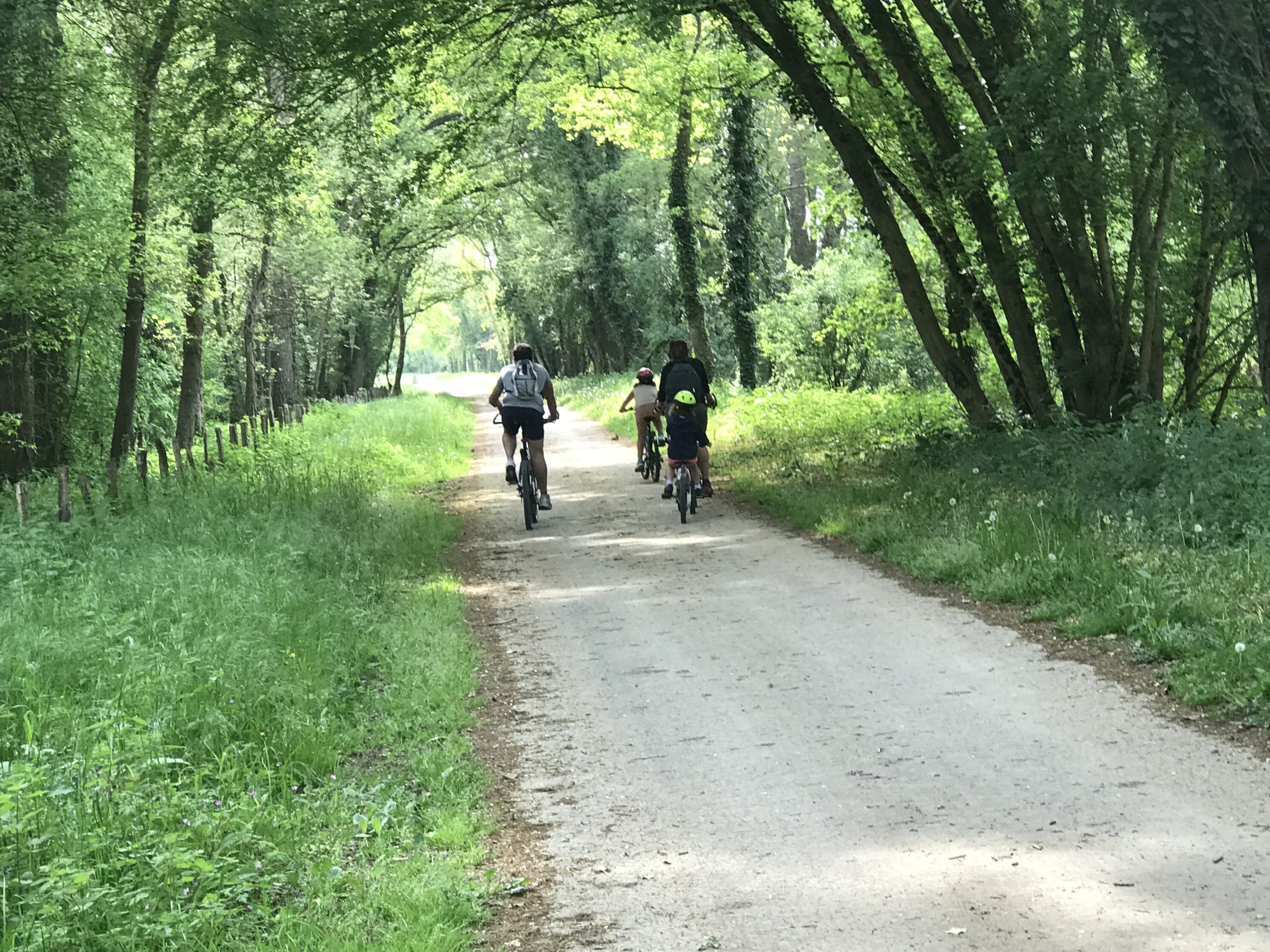 L Ile Bellule Les mille et une activité autour de L'Ile Bellule